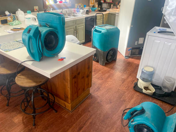 Best Ceiling water damage repair  in St Henry, OH