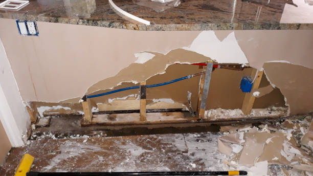 Best Local water damage restoration  in St Henry, OH