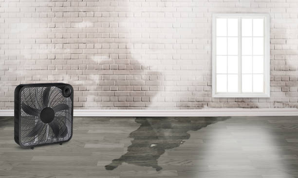 Professional Water damage restoration in St Henry, OH
