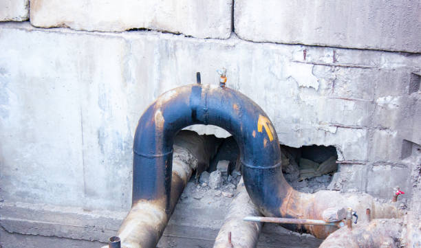 Best Water damage restoration near me  in St Henry, OH