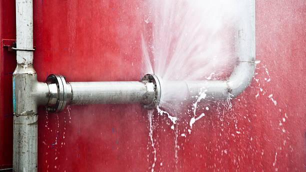 Best Basement water damage restoration  in St Henry, OH